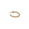 Earrings - XL SALLY 24K Gold Finished -10006774