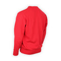 T-shirt Plain Colour Virgin Wool Long Sleeves Crew Neck