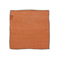 Pocket Square Colored Pheseant Patterns Wool And Cashmere