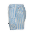 Swim Shorts - MADEIRA AIRSTOP Striped Microfiber
