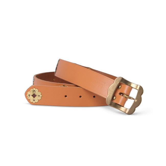 Belt Plain Colour Golden Metallic Cows