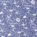 Pocket Square - Flowers Printed & Border Silk