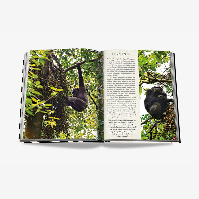 Book - African Adventures, The Greatest Safari on Earth
