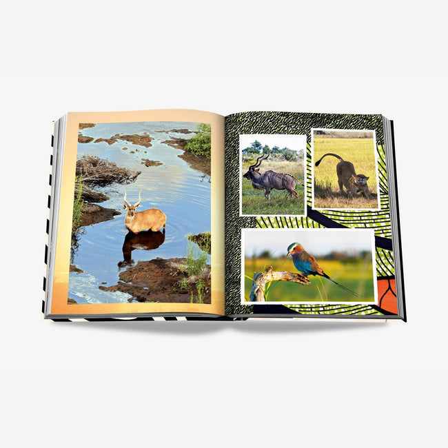 Book - African Adventures, The Greatest Safari on Earth