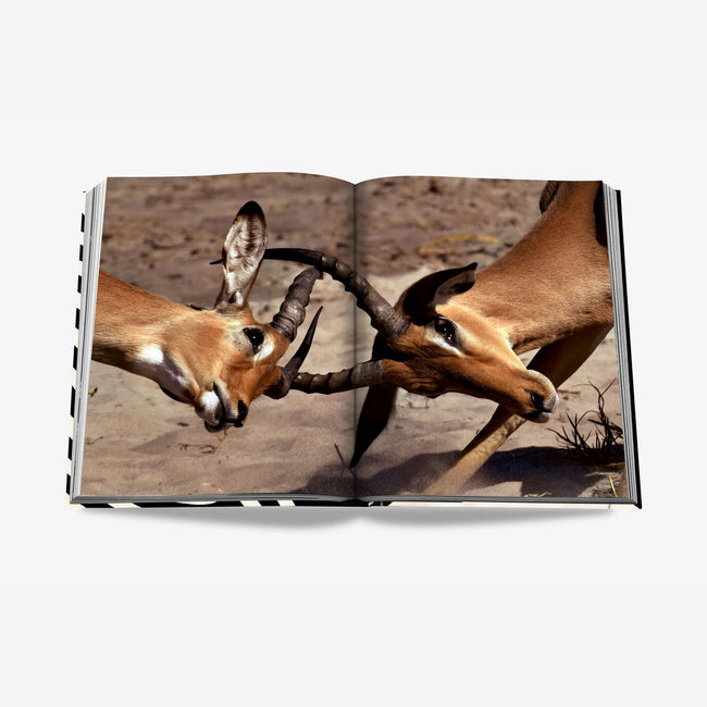 Book - African Adventures, The Greatest Safari on Earth