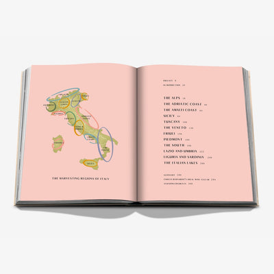 Book - Wine & Travel Italy
