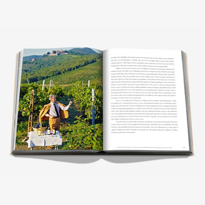Book - Wine & Travel Italy