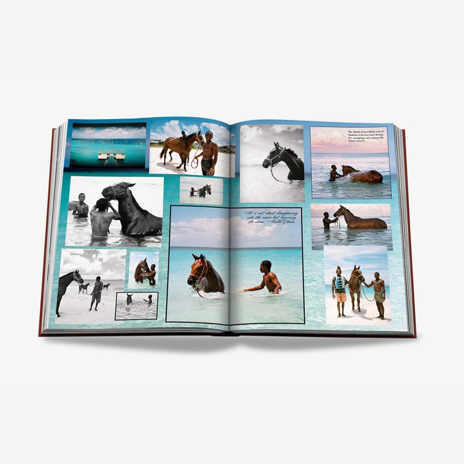 Book – Polo Heritage