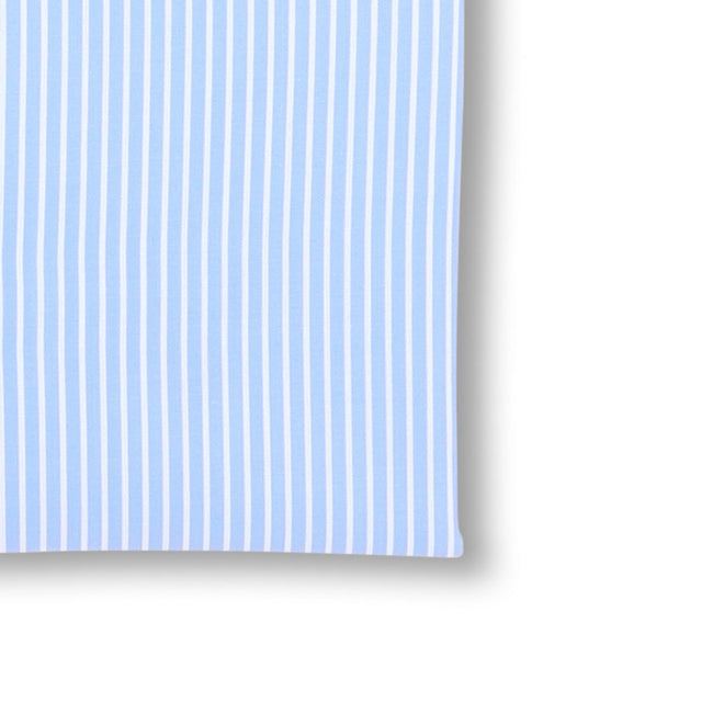 Striped Blue and White Shirt